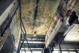 Best Asbestos and Lead Testing During Mold Inspection  in Brentwood, MO